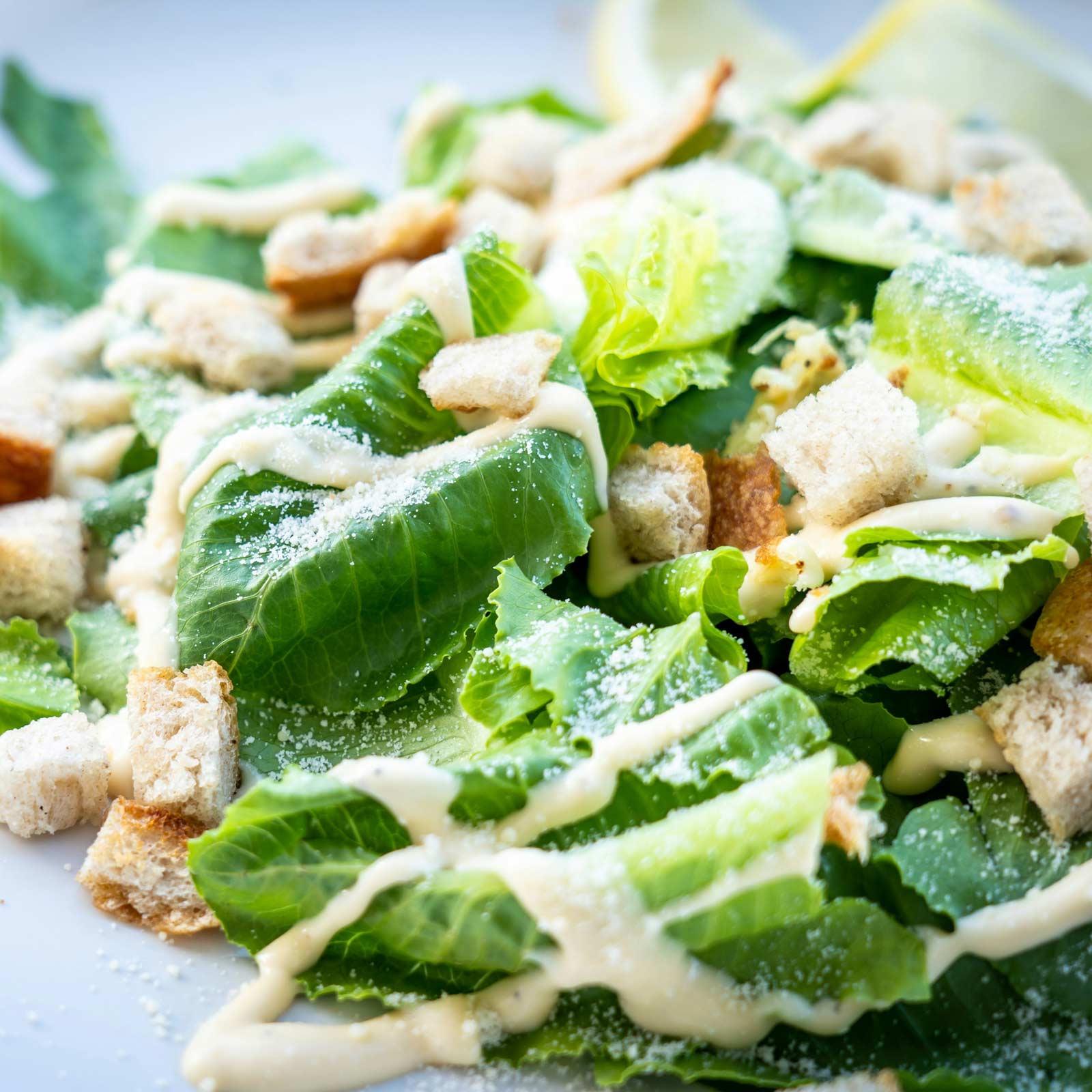 Winged Caesar Menu | Mo'z Pizza & Wingz